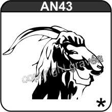 AN43
